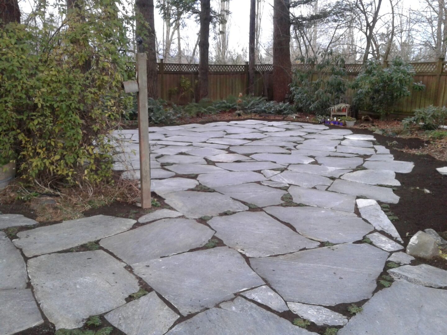 A winding stone pathway bordered by lush greenery and trees, leading through a serene garden.