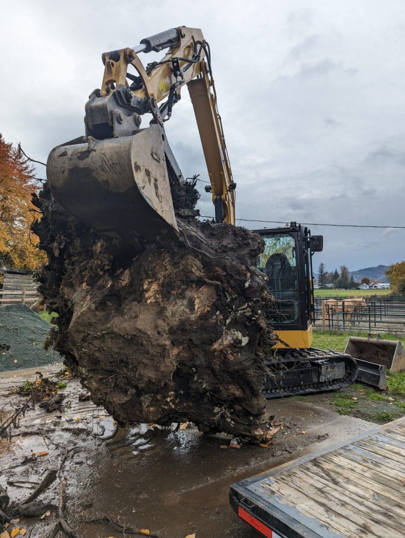 An excavator with a large clump of earth attached to its bucket stands next to a flatbed truck on a wet, muddy surface.