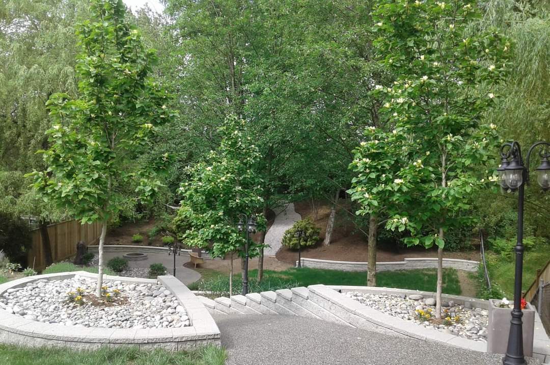 A tranquil park scene with lush trees, winding pathways, and lamp posts, bordered by decorative stones and flowers.