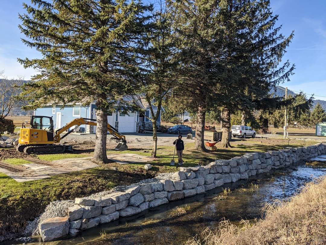A person stands by a creek with stone embankments, observing an excavator near a few trees in a residential area on a sunny day.