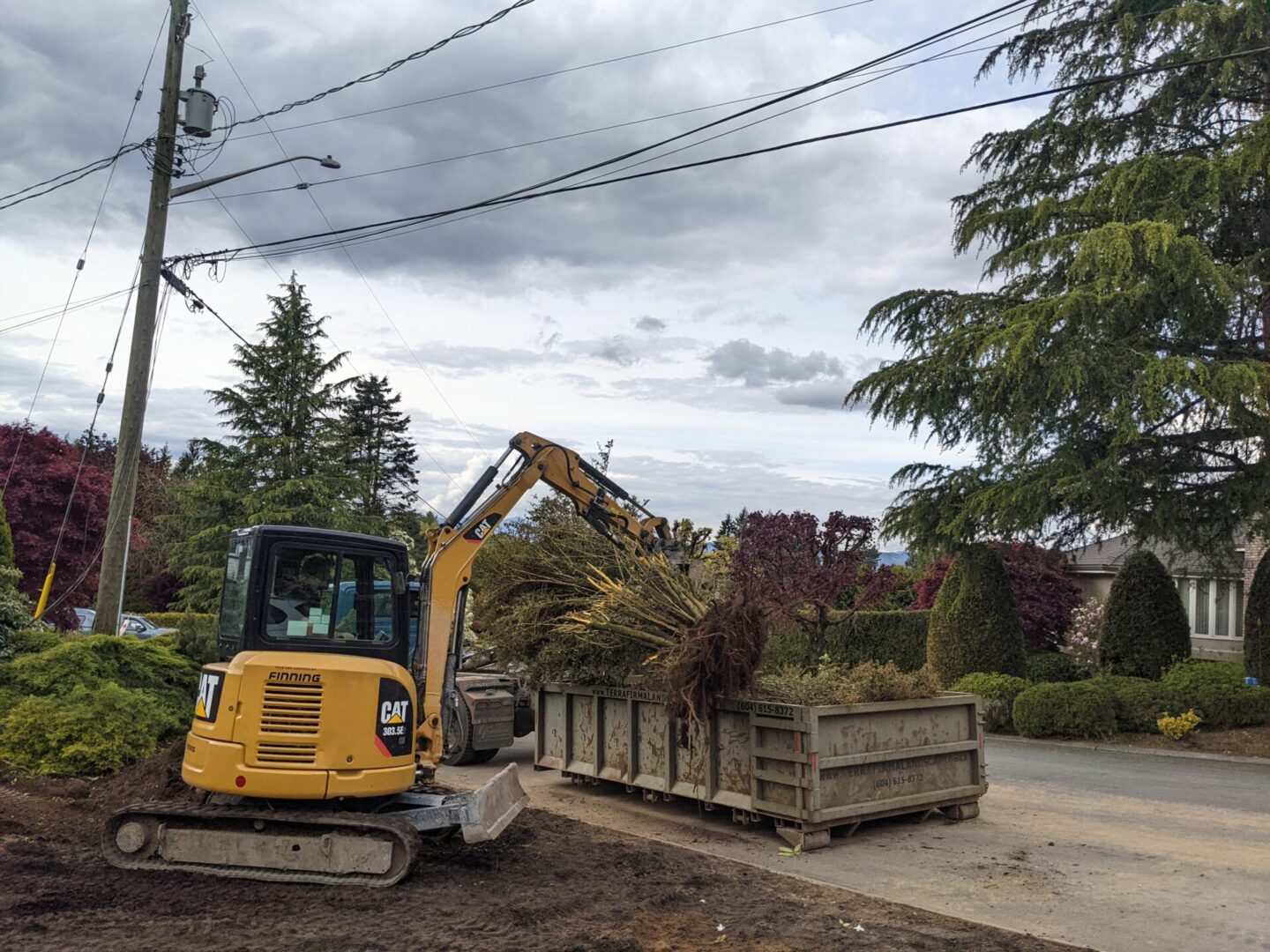 A yellow excavator loading debris into a dumpster on a suburban street, surrounded by lush greenery and various trees.