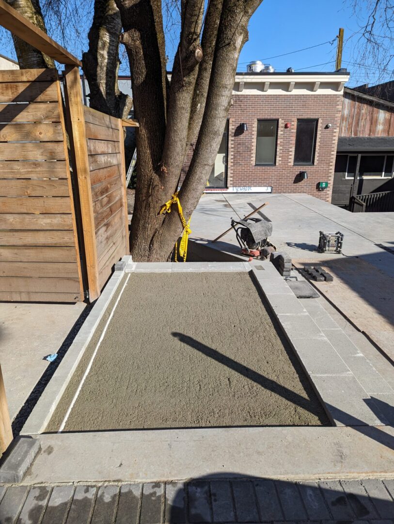 Freshly poured concrete ramp next to a tree, with construction tools and a wheelbarrow nearby, in an urban setting.