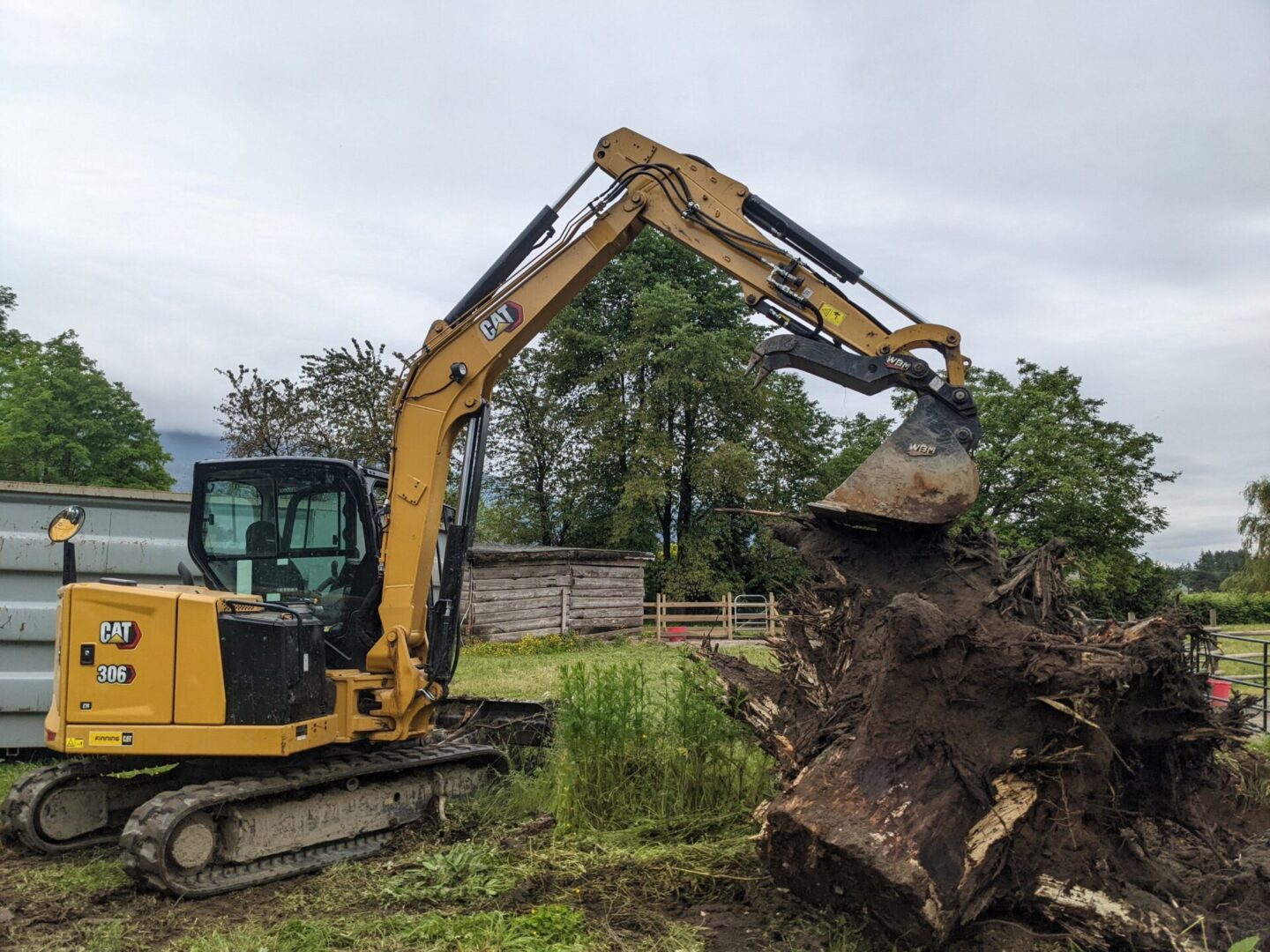 A yellow cat excavator removing a large uprooted tree stump in a grassy field with overcast skies.